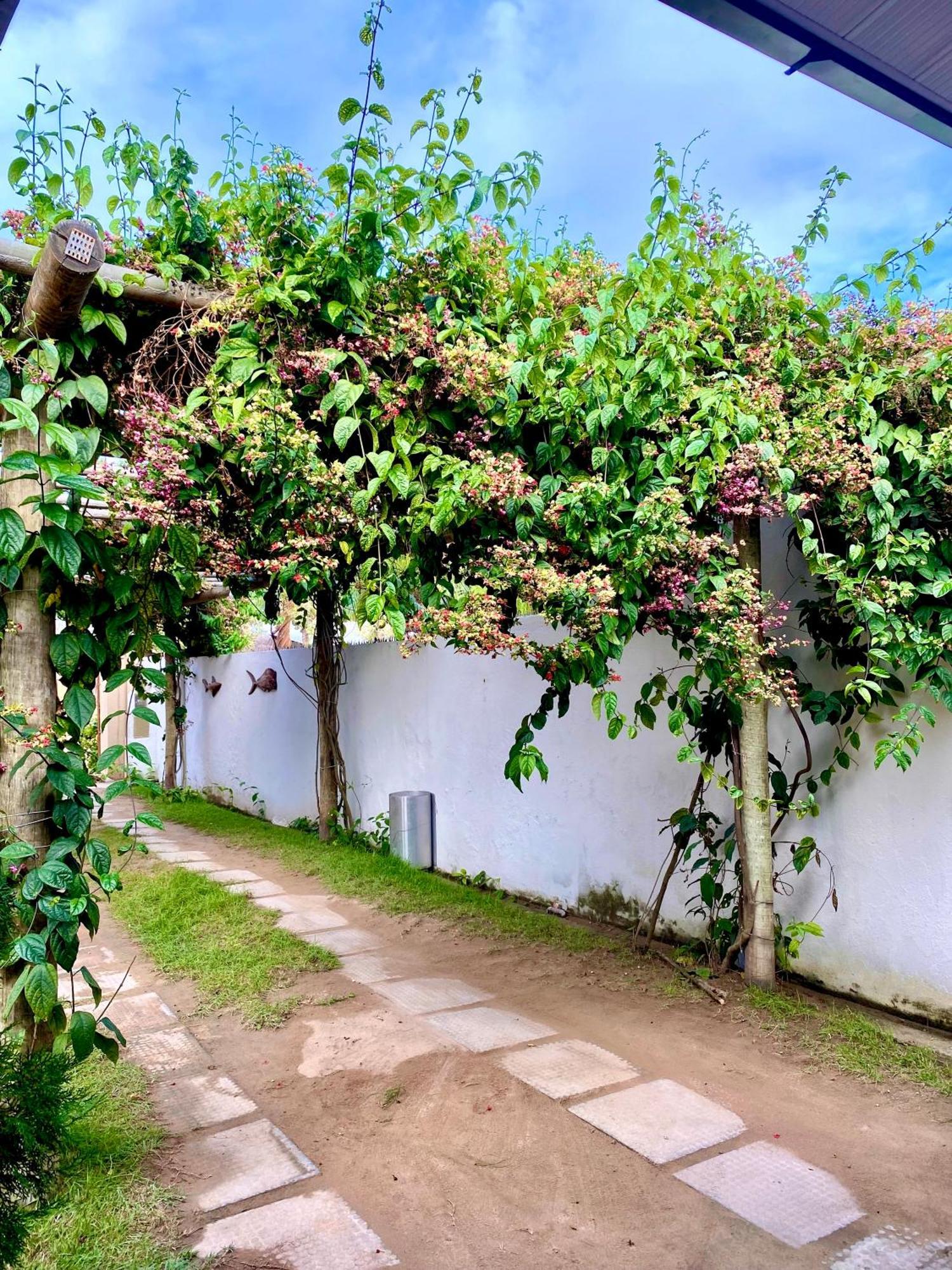 Pousada Paraiso Dos Milagres São Miguel dos Milagres Exterior foto